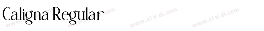Caligna Regular字体转换 Caligna Regular字体转换